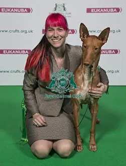 Crufts 2018