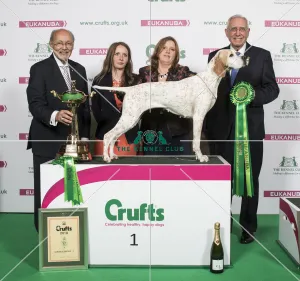 Gundog Group - winner