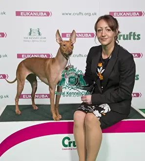 Crufts 2018