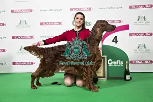Crufts 2018