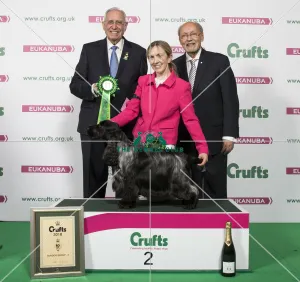 Gundog Group - winner
