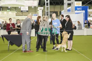 Young Kennel Club