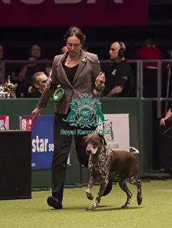 Crufts 2018