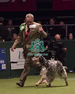 Crufts 2018