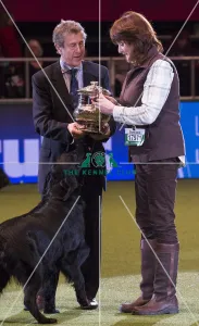 Gamekeepers Competition