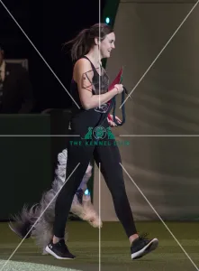 Championship Agility - Small