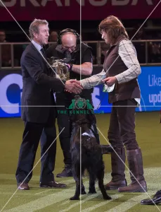 Gamekeepers Competition