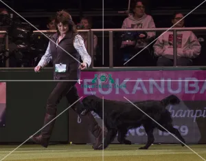 Gamekeepers Competition