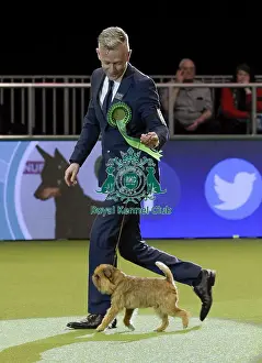 Crufts 2018