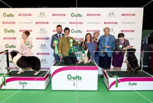 Crufts 2018