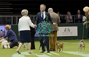Crufts 2018