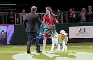 Crufts 2018