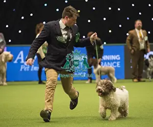 Crufts 2018