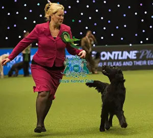 Crufts 2018