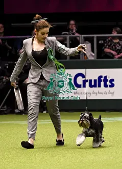 Crufts 2018
