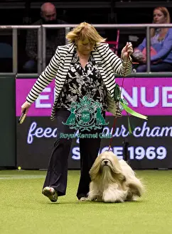 Crufts 2018