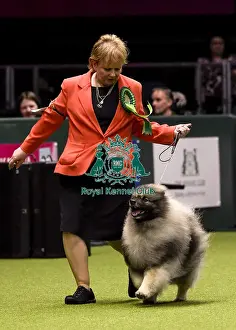 Crufts 2018