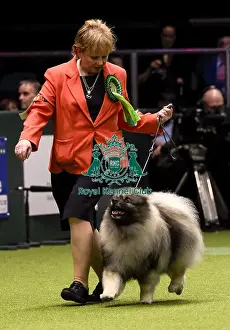 Crufts 2018