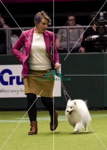 Crufts 2018