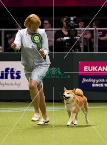 Crufts 2018