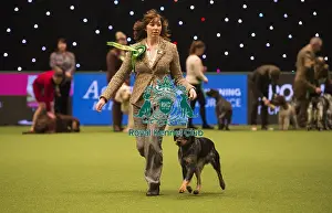 Crufts 2018