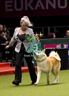 Crufts 2018