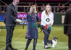 Scruffts Final - winner