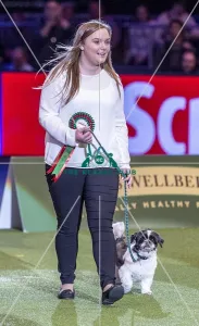 Scruffts Final - winner