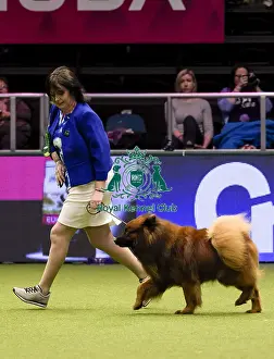 Crufts 2018