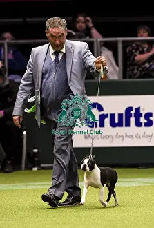 Crufts 2018
