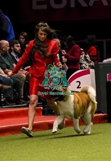 Crufts 2018