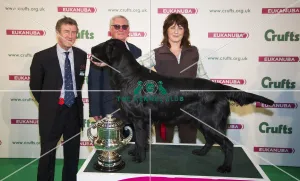 Gamekeepers Competition