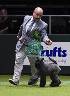 Crufts 2018