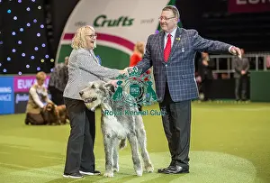 Crufts 2018