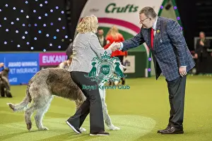 Crufts 2018