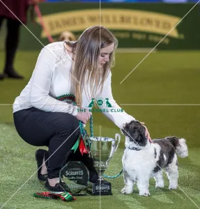 Scruffts Final - winner