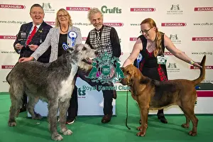 Crufts 2018