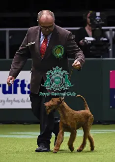 Crufts 2018