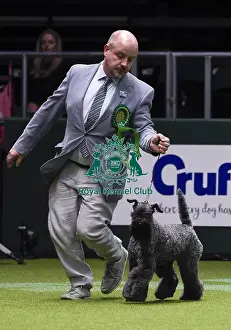 Crufts 2018