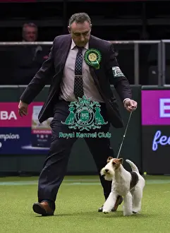 Crufts 2018