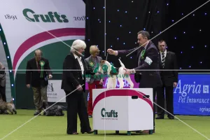 Crufts 2018
