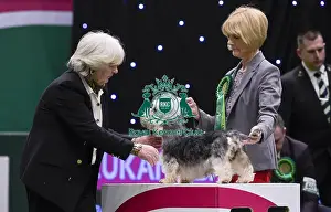 Crufts 2018