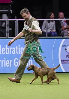 Crufts 2018