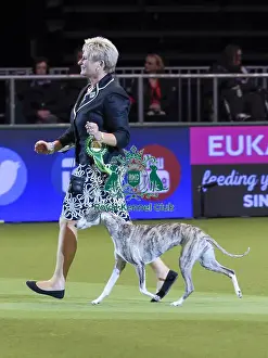 Crufts 2018