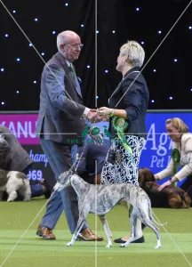 Crufts 2018