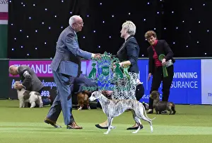 Crufts 2018