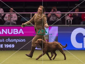 Crufts 2018