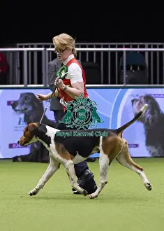 Crufts 2018