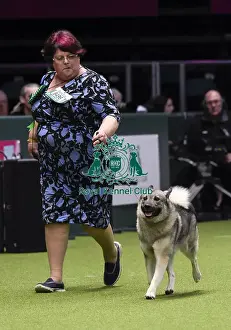 Crufts 2018