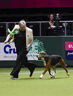 Crufts 2018
